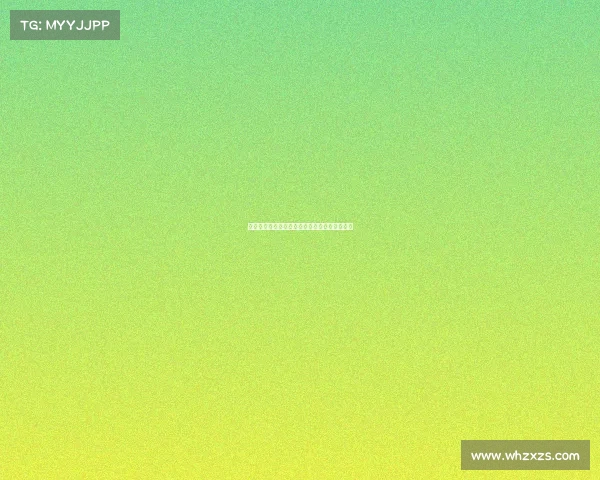 云达不来梅：德甲强队崛起之路与未来发展展望